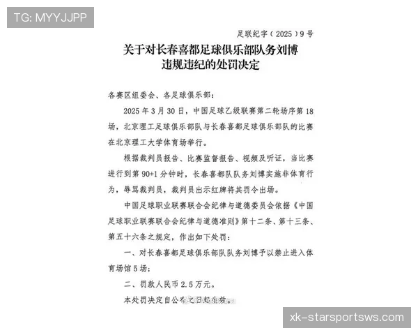辱骂裁判的判罚规则详解：处罚标准与执行流程解析